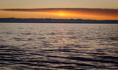 East Antarctica | Sunrise over Antarctica
