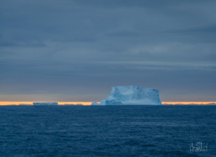 East Antarctica | Icebergs