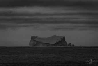East Antarctica | Iceberg - Black and White