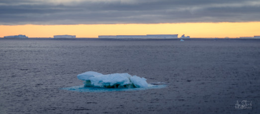 East Antarctica | Icebergs at Sunrise
