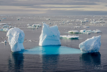 East Antarctica | Last Ones Standing