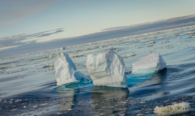 East Antarctica | Last Ones Standing