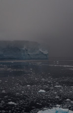East Antarctica | Icy Iceberg