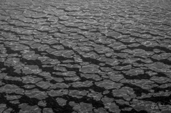 East Antarctica | Fragile Freezing Sea - Black and White