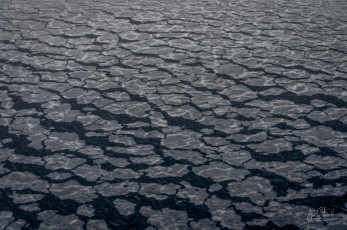 East Antarctica | Fragile Freezing Sea