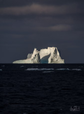 East Antarctica | Iceberg Spotlight