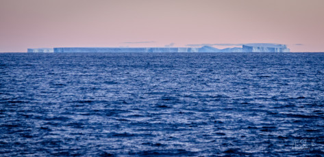 East Antarctica | Sunrise and Icebergs
