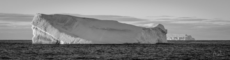 East Antarctica | Iceberg With Roosting Cape Pigeons - Black and White