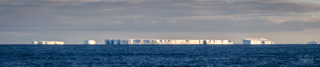 East Antarctica | Icebergs