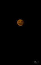 East Antarctica | Harvest Moon