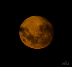 East Antarctica | Harvest Moon