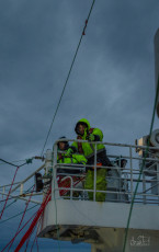 East Antarctica | The Bird Scarers
