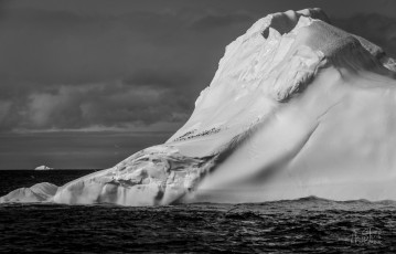 East Antarctica | Blue Berg and Birds - Black and White