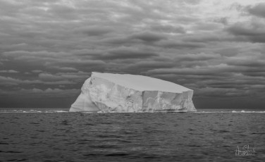 East Antarctica | Iceberg - Black and White