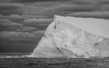 East Antarctica | Iceberg - Black and White
