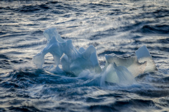 East Antarctica | Funky Growler