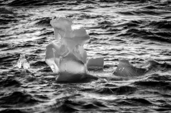 East Antarctica | Funky Growler - Black and White