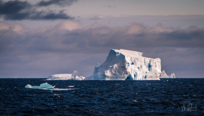 East Antarctica | Icebergs