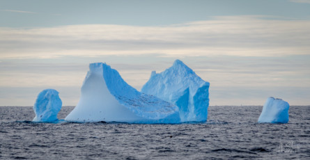 East Antarctica | Cape Pigeon Iceberg Exodus
