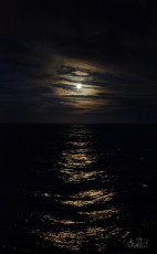 East Antarctica | Halo Around The Moon Reflected In The Sea