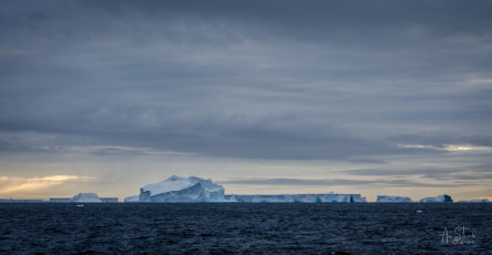 East Antarctica | Numerous Bergs