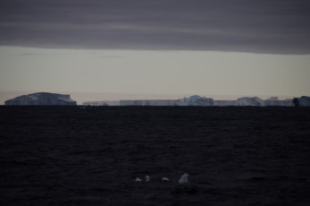 East Antarctica | Icebergs and Antarctica