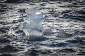 East Antarctica | Funky Growler