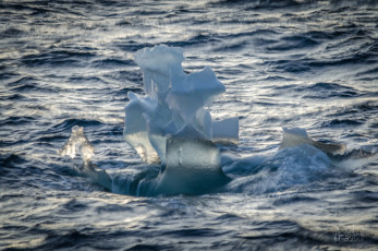 East Antarctica | Funky Growler