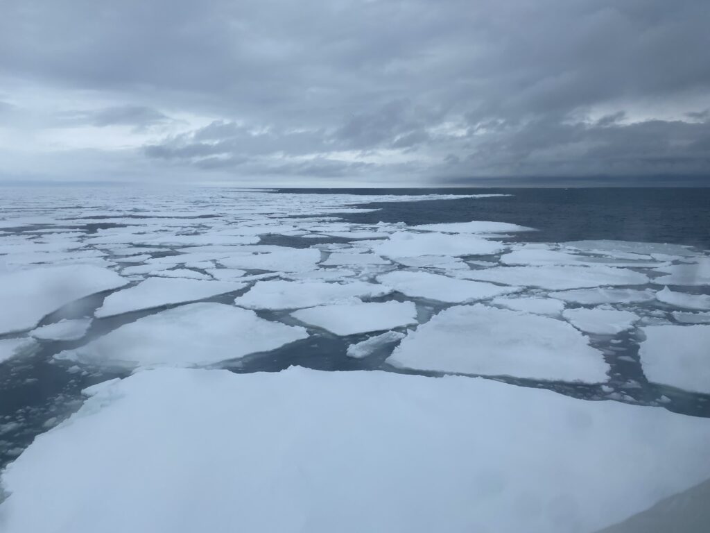 First Year Ice Of The Ross Sea Antarctic Ice Pack