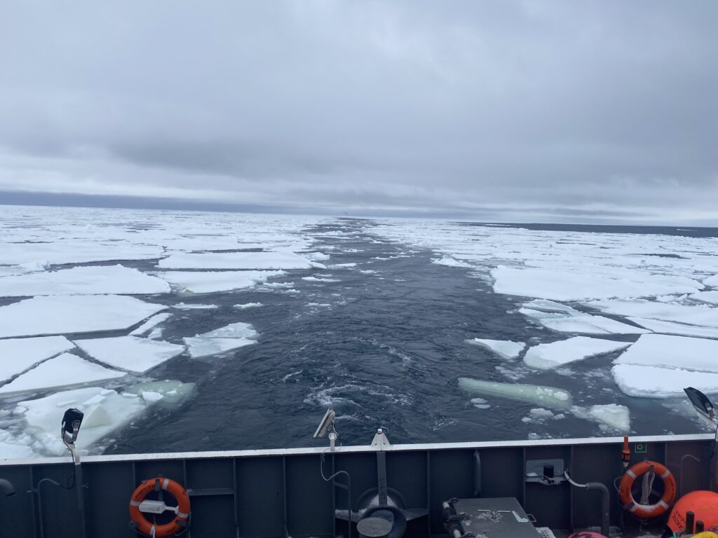 Steaming Through The Ice Pack